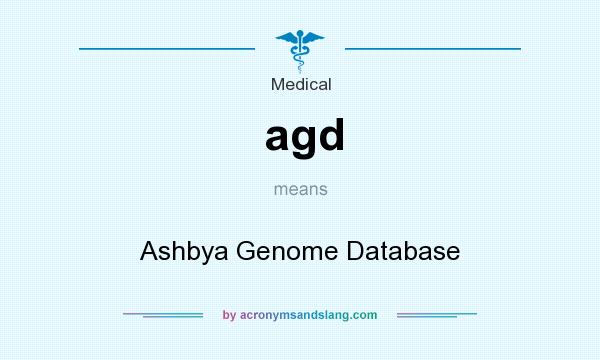 What does agd mean? It stands for Ashbya Genome Database