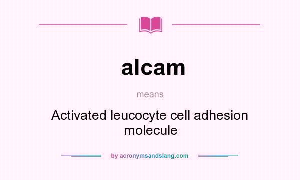 What does alcam mean? It stands for Activated leucocyte cell adhesion molecule
