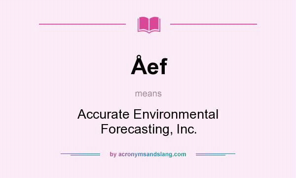 What does Åef mean? It stands for Accurate Environmental Forecasting, Inc.