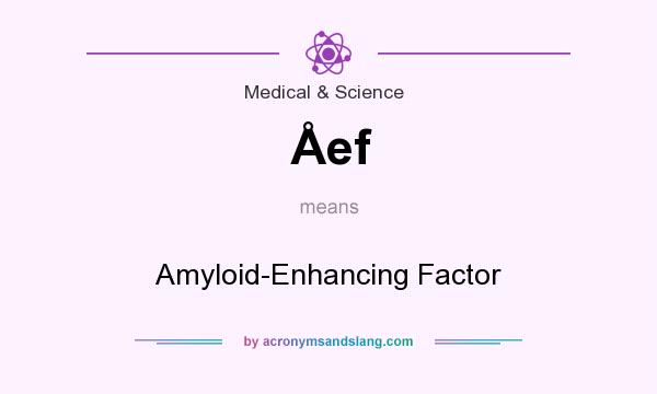 What does Åef mean? It stands for Amyloid-Enhancing Factor