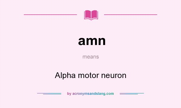 What does amn mean? It stands for Alpha motor neuron