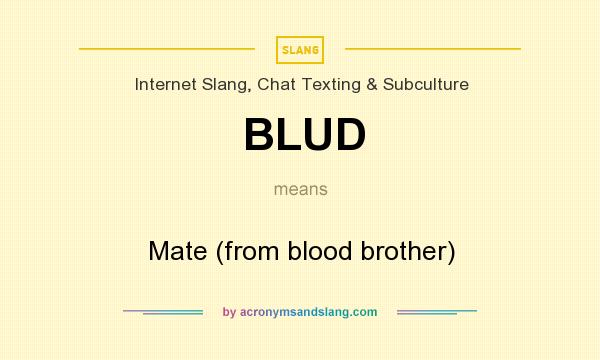 What does BLUD mean? It stands for Mate (from blood brother)