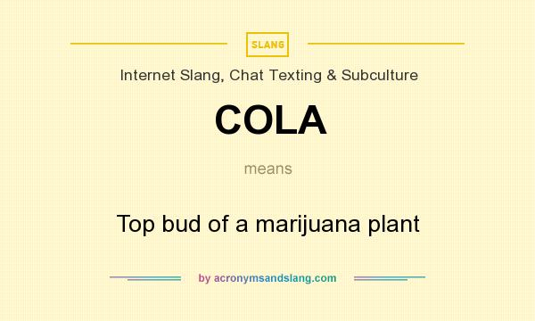 What does COLA mean? It stands for Top bud of a marijuana plant