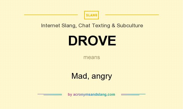 What does DROVE mean? It stands for Mad, angry