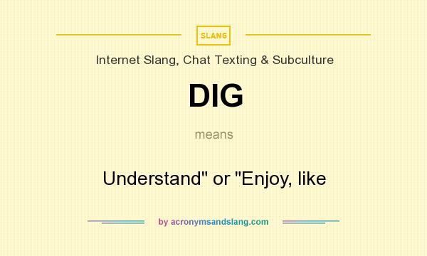 What does DIG mean? It stands for Understand