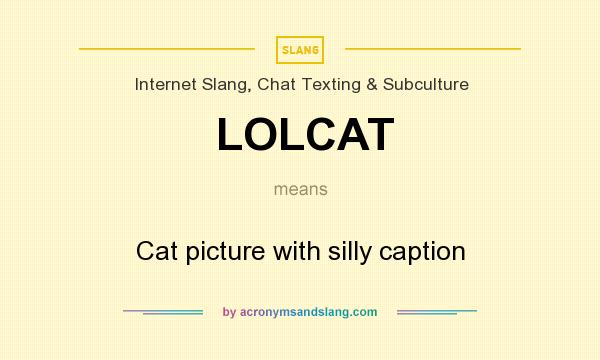 What does LOLCAT mean? It stands for Cat picture with silly caption