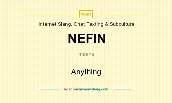 What does NEFIN mean? It stands for Anything