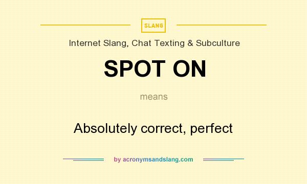 What does SPOT ON mean? It stands for Absolutely correct, perfect