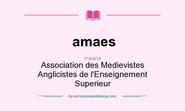 What does amaes mean? It stands for Association des Medievistes Anglicistes de l`Enseignement Superieur