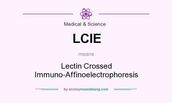 What does LCIE mean? It stands for Lectin Crossed Immuno-Affinoelectrophoresis