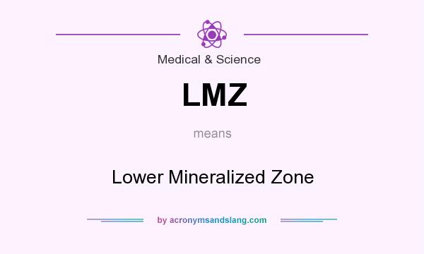 What does LMZ mean? It stands for Lower Mineralized Zone