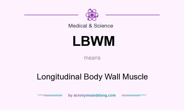 What does LBWM mean? It stands for Longitudinal Body Wall Muscle