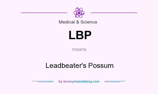 What does LBP mean? It stands for Leadbeater`s Possum