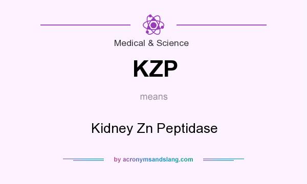 What does KZP mean? It stands for Kidney Zn Peptidase