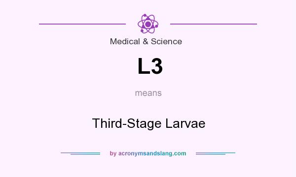 What does L3 mean? It stands for Third-Stage Larvae
