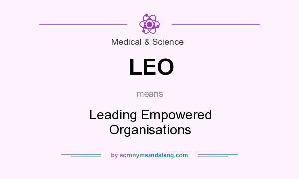What does LEO mean? It stands for Leading Empowered Organisations