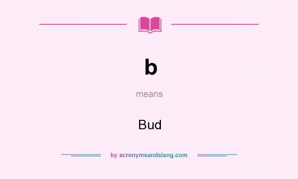 What does b mean? It stands for Bud