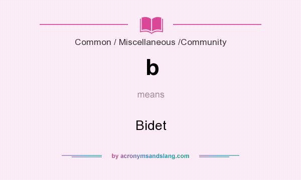 What does b mean? It stands for Bidet
