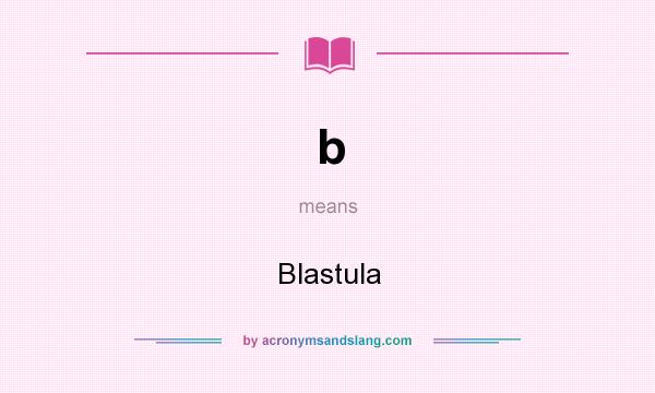 What does b mean? It stands for Blastula