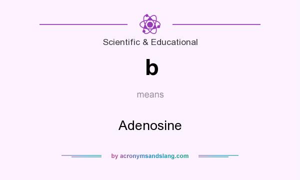 What does b mean? It stands for Adenosine