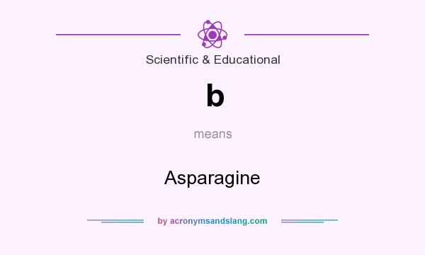 What does b mean? It stands for Asparagine