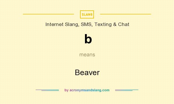 What does b mean? It stands for Beaver