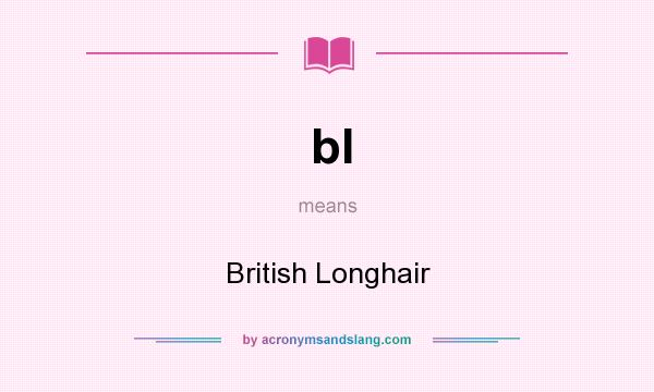 What does bl mean? It stands for British Longhair
