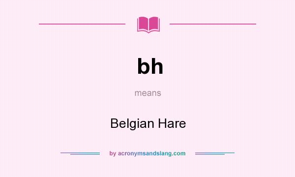 What does bh mean? It stands for Belgian Hare