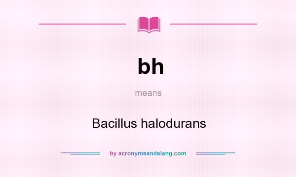 What does bh mean? It stands for Bacillus halodurans