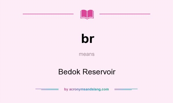 What does br mean? It stands for Bedok Reservoir