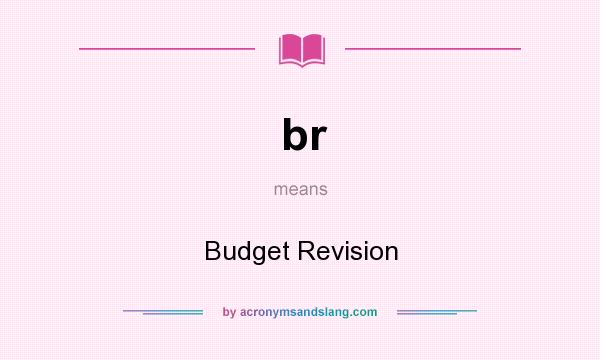 What does br mean? It stands for Budget Revision