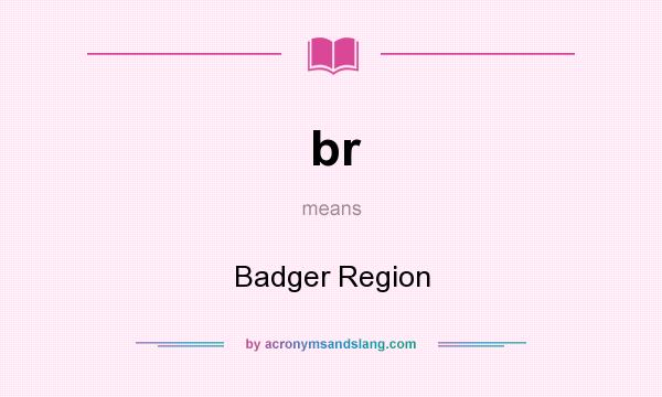 What does br mean? It stands for Badger Region