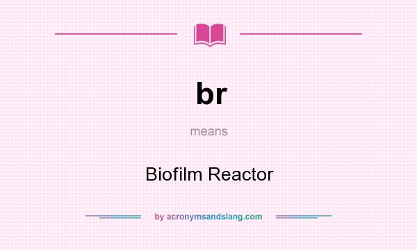 What does br mean? It stands for Biofilm Reactor