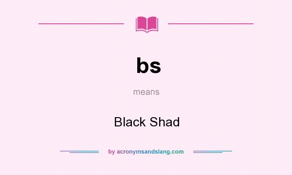 What does bs mean? It stands for Black Shad