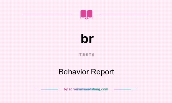 What does br mean? It stands for Behavior Report