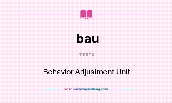 What does bau mean? It stands for Behavior Adjustment Unit