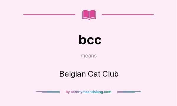 What does bcc mean? It stands for Belgian Cat Club