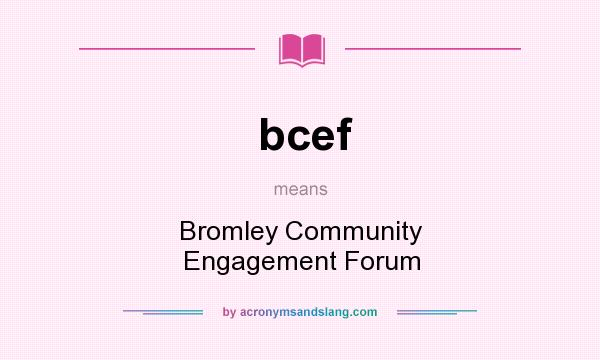 What does bcef mean? It stands for Bromley Community Engagement Forum