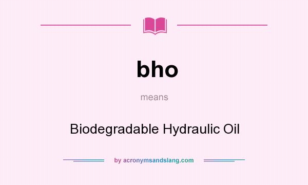 What does bho mean? It stands for Biodegradable Hydraulic Oil