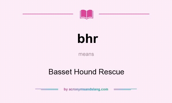 What does bhr mean? It stands for Basset Hound Rescue