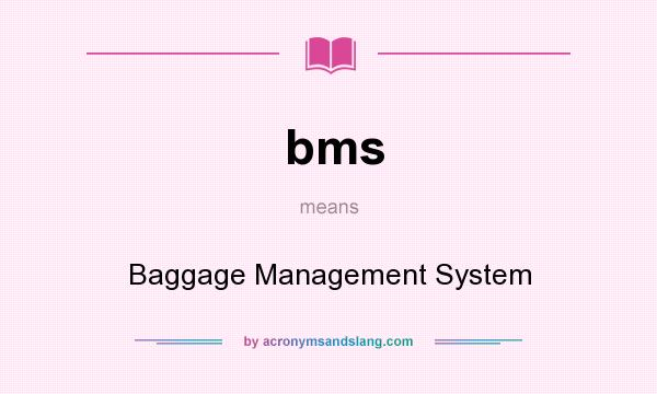 What does bms mean? It stands for Baggage Management System