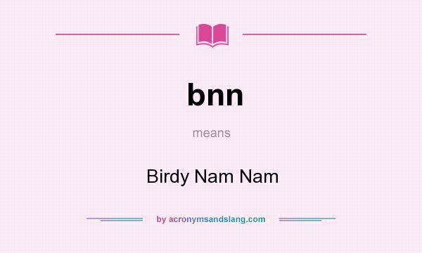 What does bnn mean? It stands for Birdy Nam Nam
