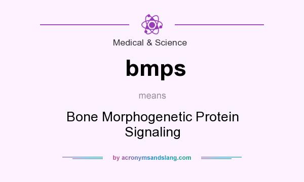 What does bmps mean? It stands for Bone Morphogenetic Protein Signaling
