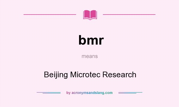 What does bmr mean? It stands for Beijing Microtec Research