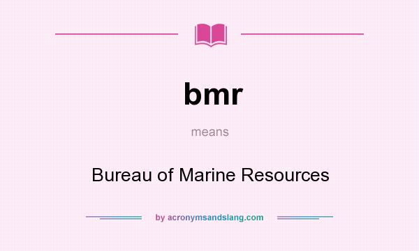 What does bmr mean? It stands for Bureau of Marine Resources