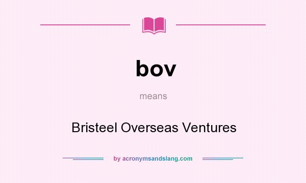 What does bov mean? It stands for Bristeel Overseas Ventures