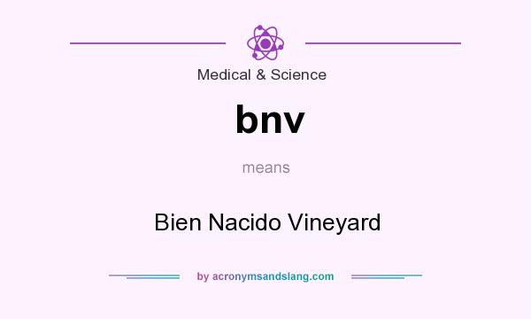 What does bnv mean? It stands for Bien Nacido Vineyard