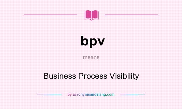 What does bpv mean? It stands for Business Process Visibility