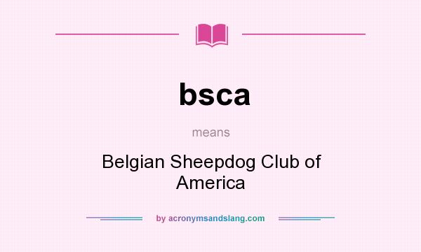 What does bsca mean? It stands for Belgian Sheepdog Club of America