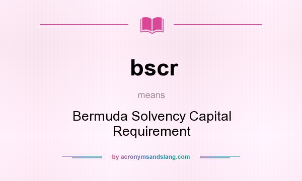 What does bscr mean? It stands for Bermuda Solvency Capital Requirement